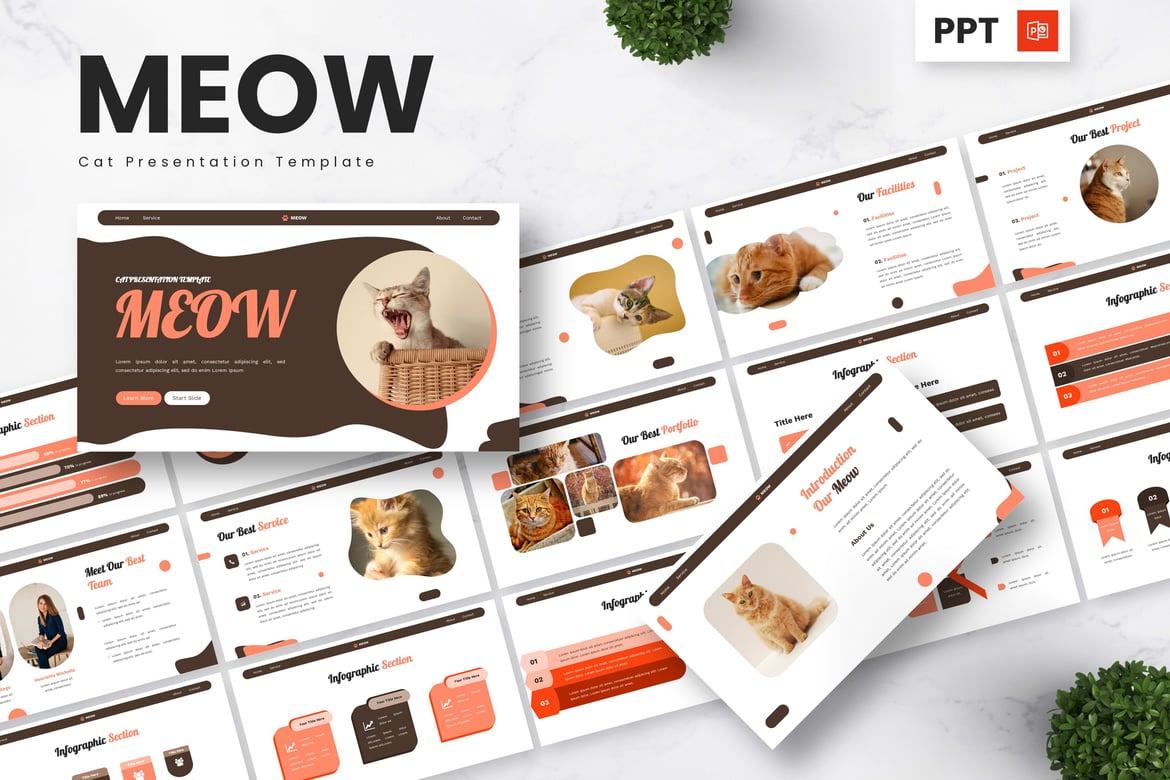 Meow - Cat Powerpoint Templates